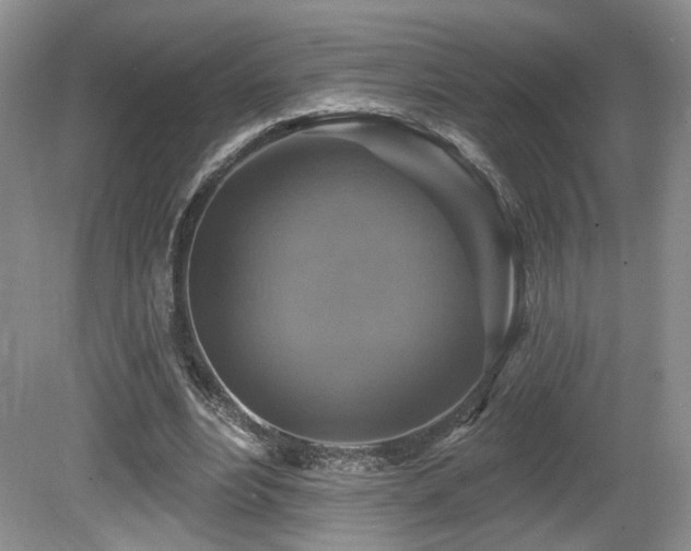 X0000080690488200612151252