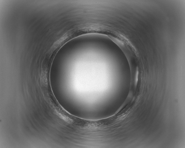 X0000080690489200612151252