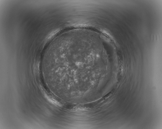X0000080690491200612151252