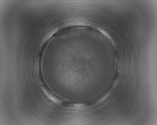X0000080690493200612151252