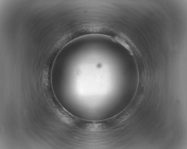 X0000080690497200612151252