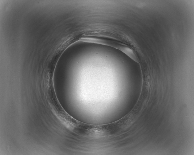 X0000080690498200612151252