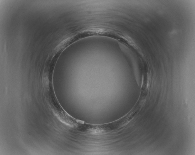 X0000080690500200612151252