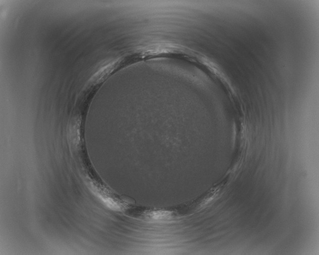 X0000080690501200612151252
