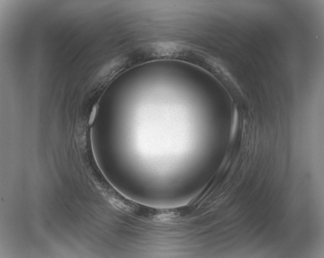 X0000080690505200612151252