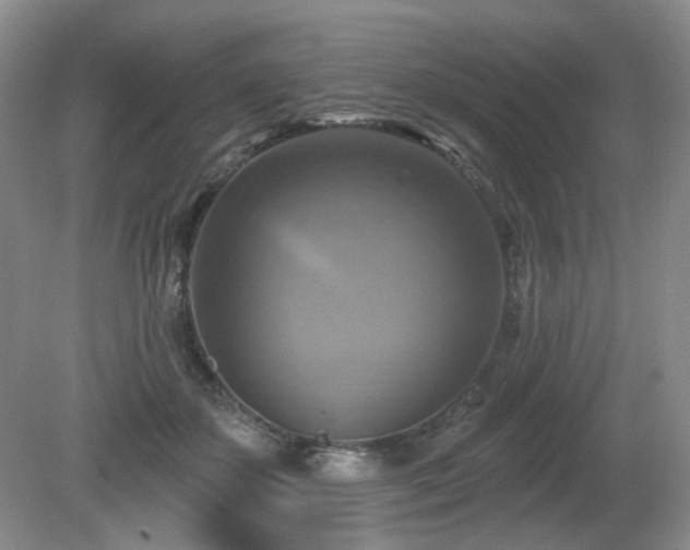 X0000080690507200612151252