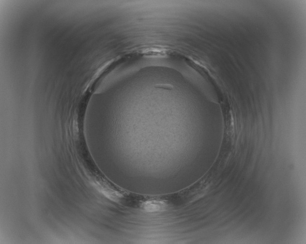 X0000080690508200612151252
