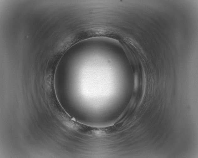 X0000080690509200612151252