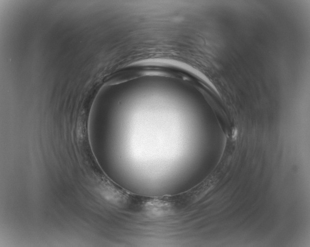 X0000080690515200612151252
