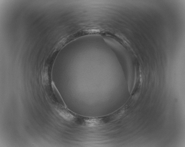 X0000080690516200612151252