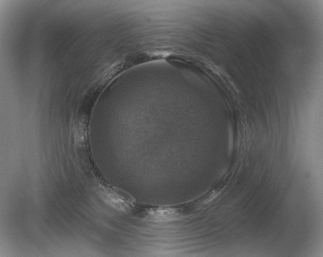 X0000080690517200612151252