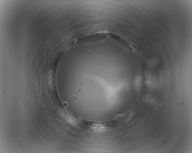 X0000080690519200612151252