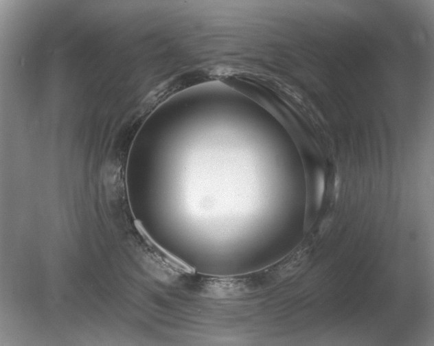 X0000080690521200612151252
