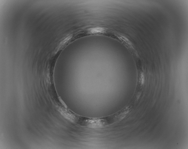 X0000080690524200612151252