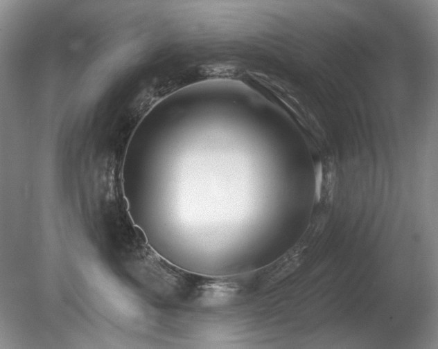 X0000080690525200612151252