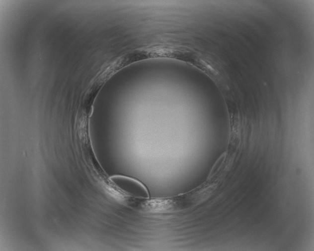 X0000080690526200612151252