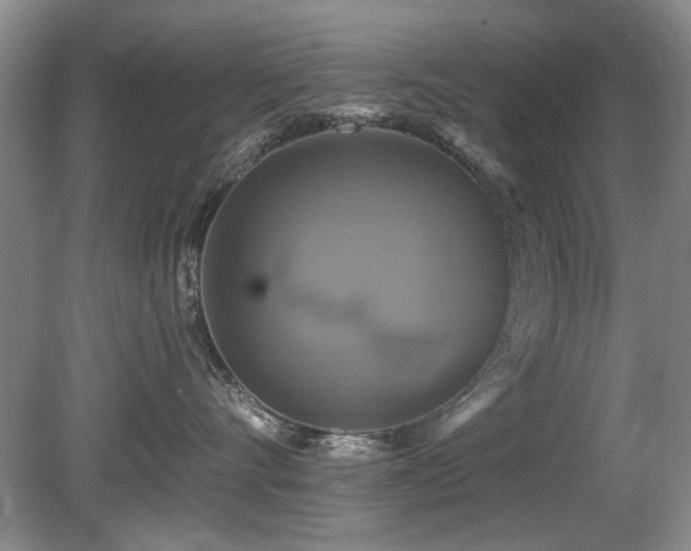 X0000080690528200612151252