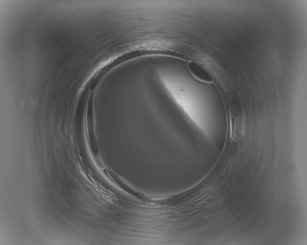 X0000080690531200612151251
