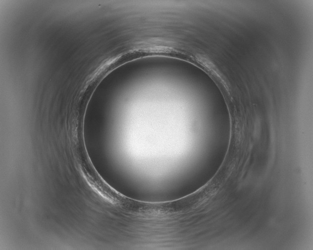 X0000080690533200612151251