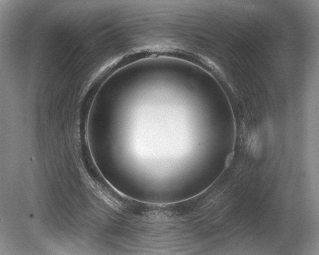 X0000080690535200612151251