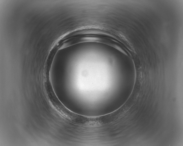 X0000080690536200612151251