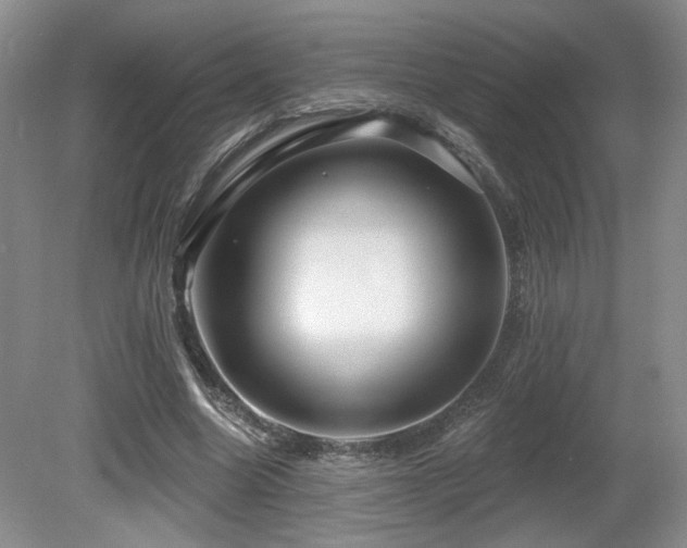 X0000080690538200612151251
