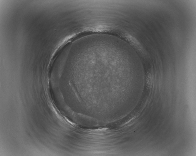 X0000080690540200612151251