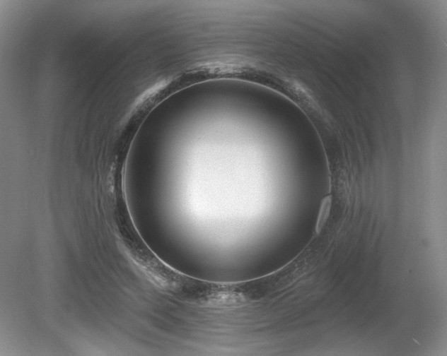 X0000080690543200612151251
