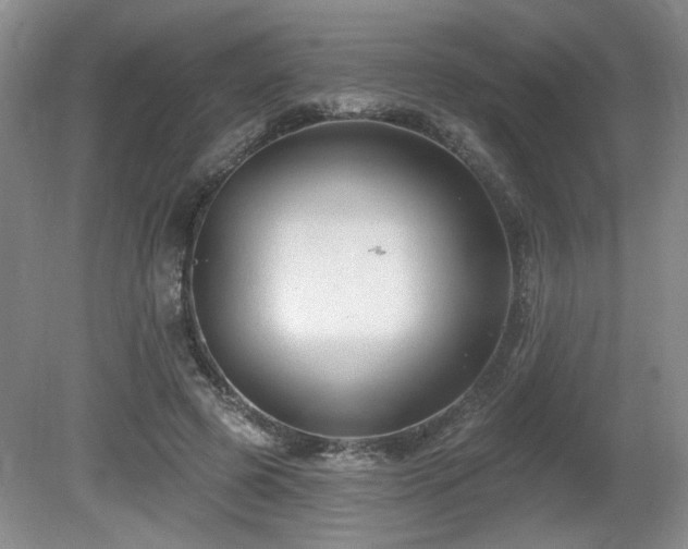 X0000080690545200612151251