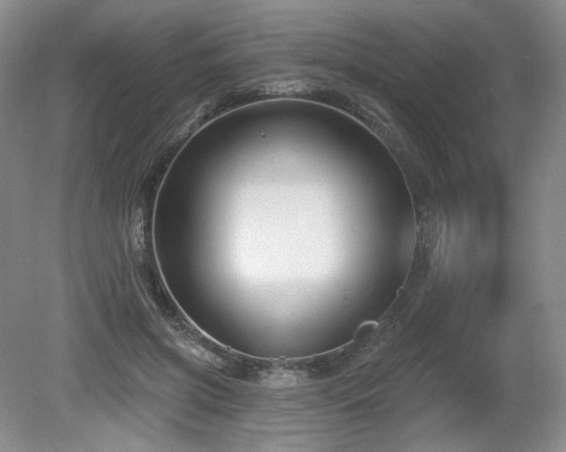 X0000080690549200612151251