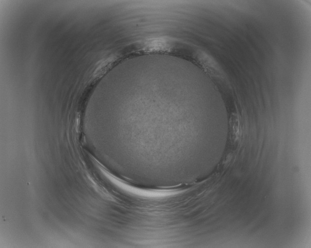X0000080690550200612151251