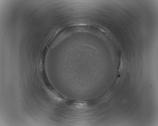 X0000080690552200612151251