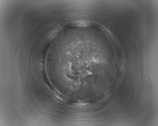 X0000080690553200612151251