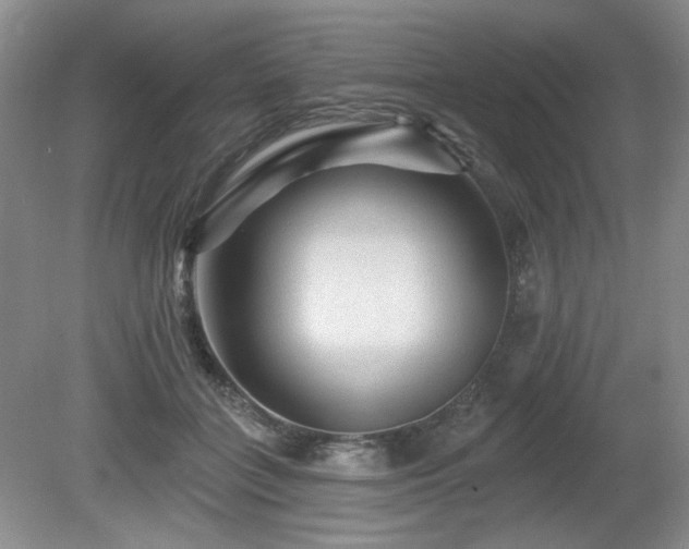 X0000080690555200612151251
