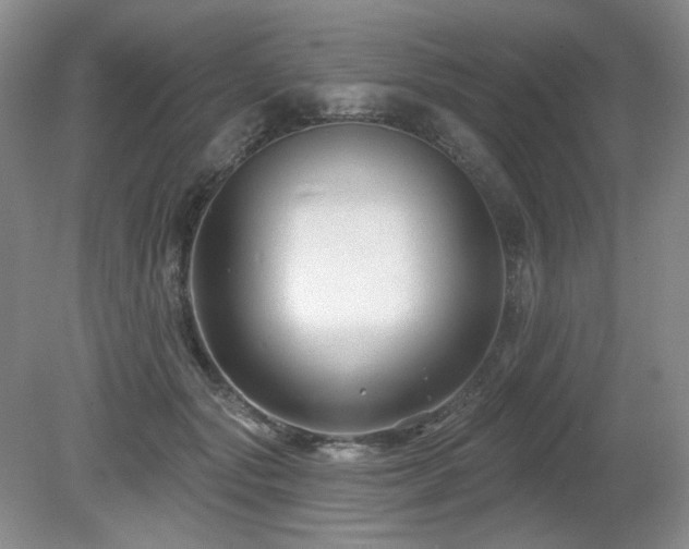 X0000080690557200612151251
