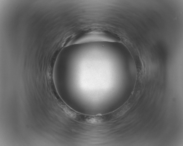 X0000080690561200612151252