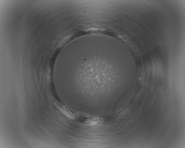 X0000080690563200612151252