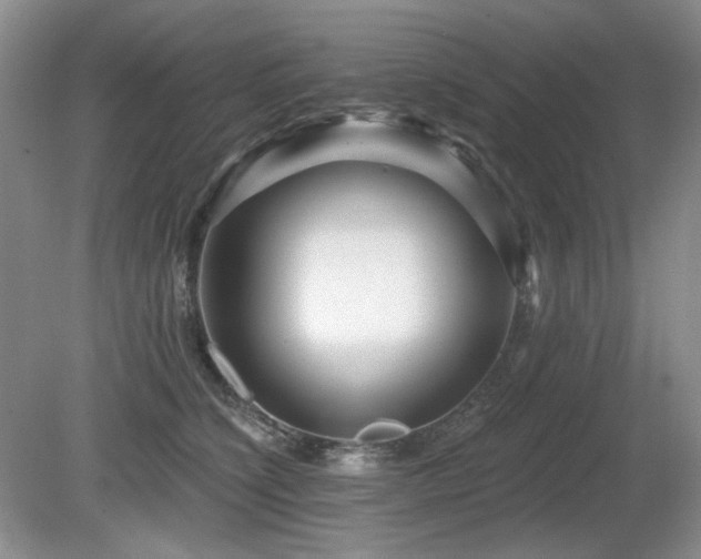 X0000080690564200612151252