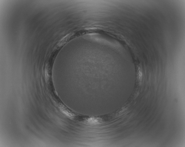 X0000080690566200612151252