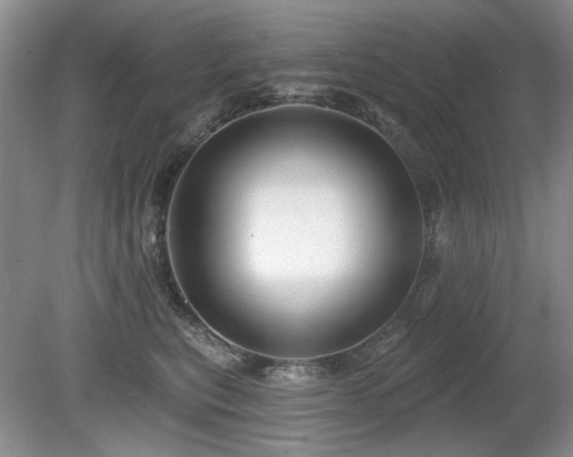 X0000080690567200612151252