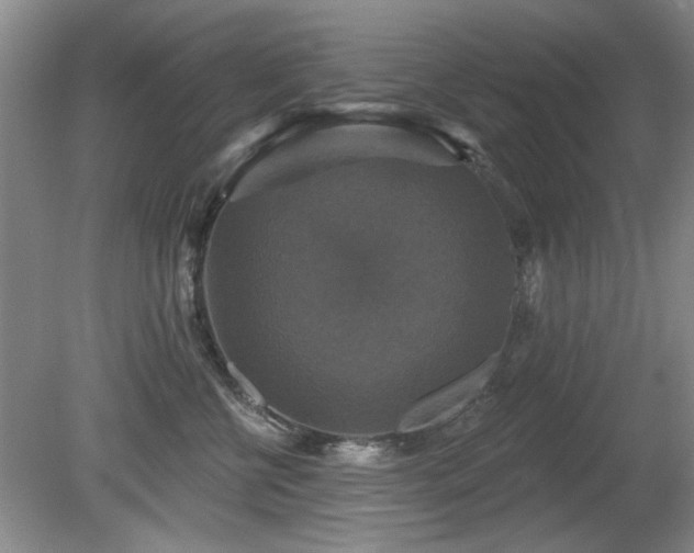 X0000080690570200612151252