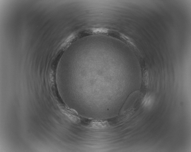 X0000080690571200612151252