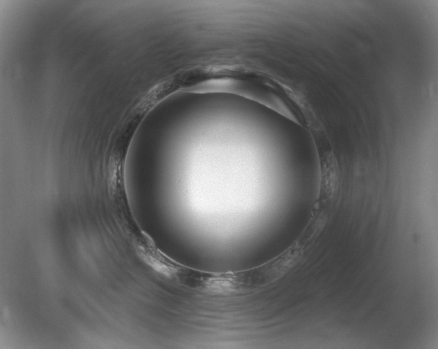 X0000080690574200612151252