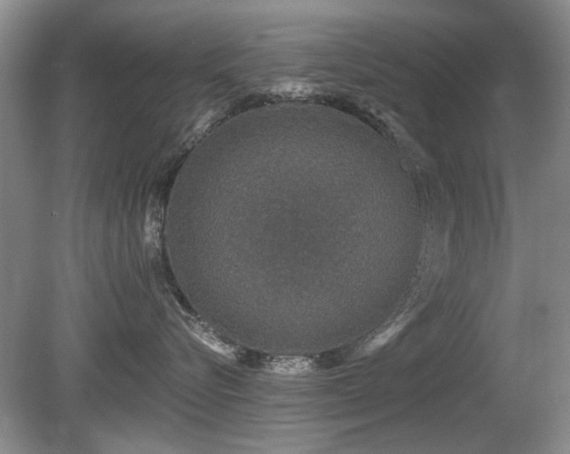 X0000080690576200612151252