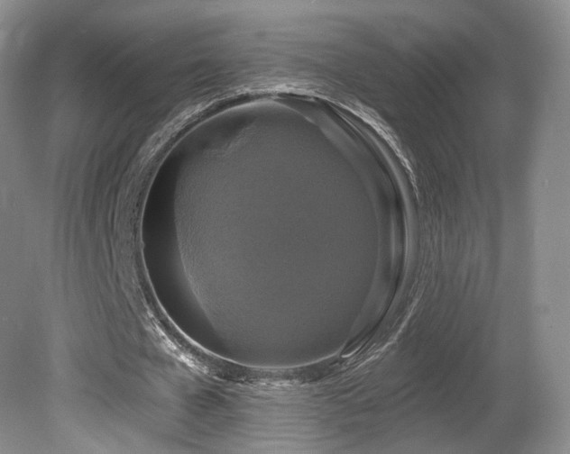 X0000080690577200612151251