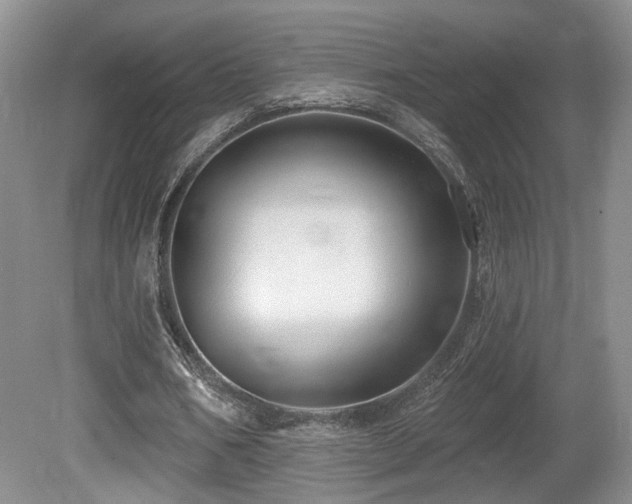 X0000080690578200612151251