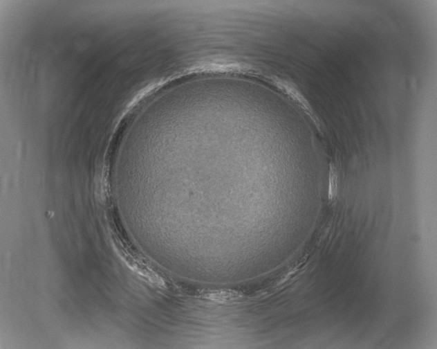 X0000080690579200612151251