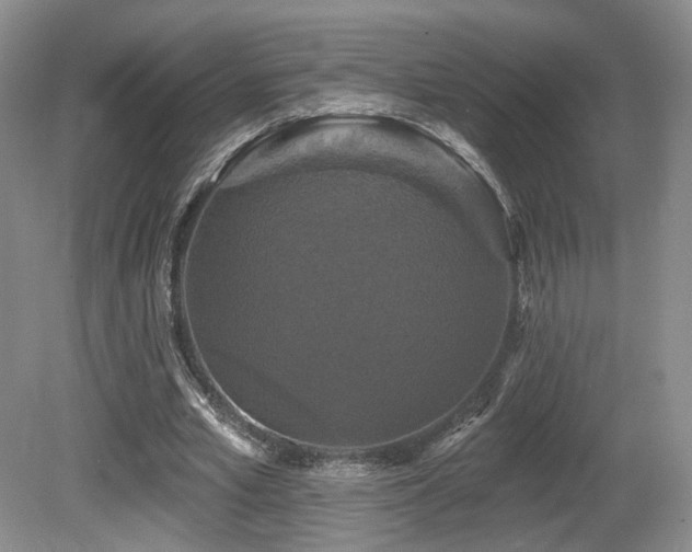 X0000080690581200612151251
