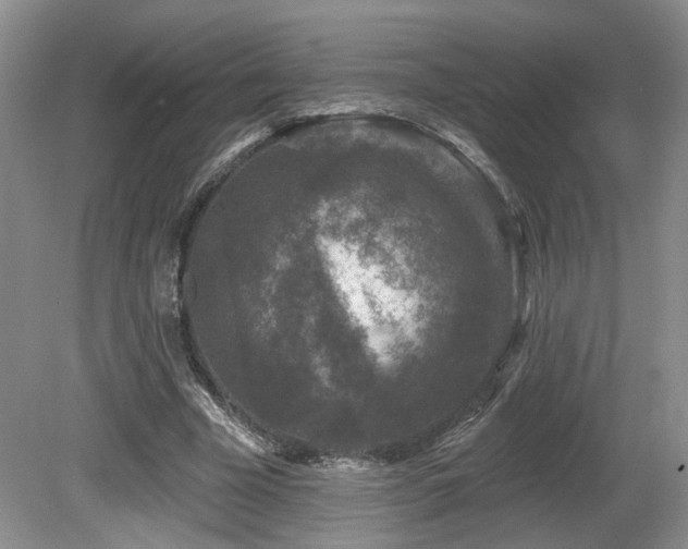 X0000080690585200612151251
