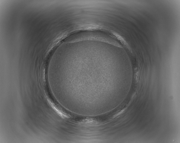 X0000080690589200612151251